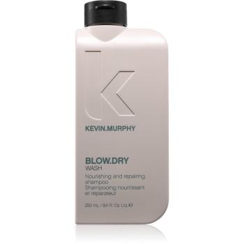 Kevin Murphy Blow.Dry Wash sampon hranitor petru par fragil si fara vlaga 250 ml