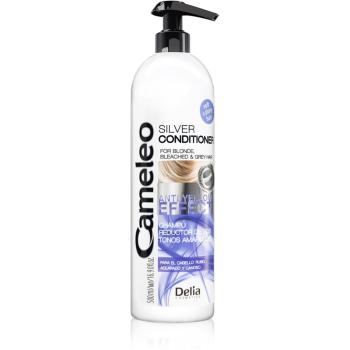 Delia Cosmetics Cameleo șampon pentru părul blond şi gri 500 ml