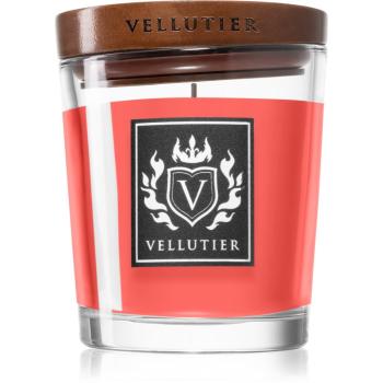Vellutier By The Fireplace lumânare parfumată 90 g