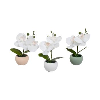 Plante artificiale 3 buc. (înălțime 15 cm) Orchid – Casa Selección