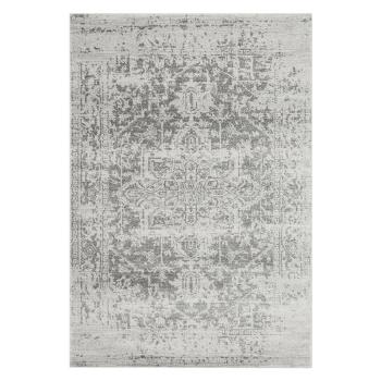 Covor gri 120x170 cm Nova – Asiatic Carpets