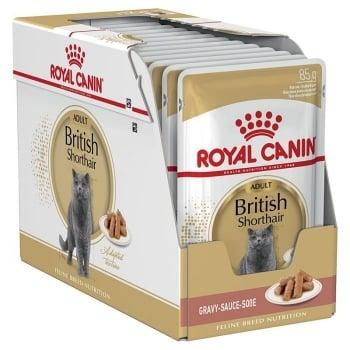 Pachet Royal Canin British Shorthair Adult, 24 x 85 g