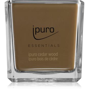 ipuro Essentials Cedar Wood lumânare parfumată 125 g