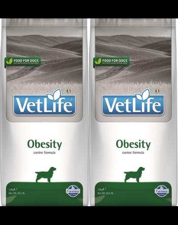 FARMINA Vet Life Dog Obesity 2x12 kg dieta pentru caini cu diabet