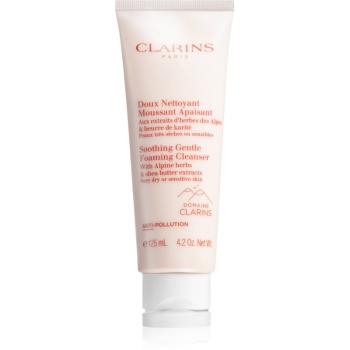 Clarins Soothing Gentle Foaming Cleanser crema de curatare sub forma de spuma pentru netezirea pielii 125 ml