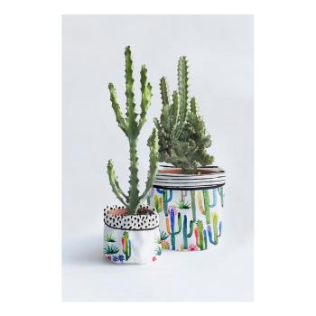 Set 2 ghivece Surdic Watercolor Cactus