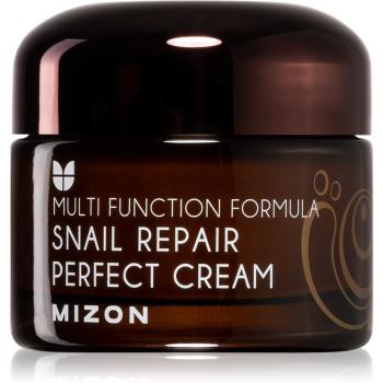 Mizon Multi Function Formula  Snail cremă pentru față cu extract de melc 60% 50 ml