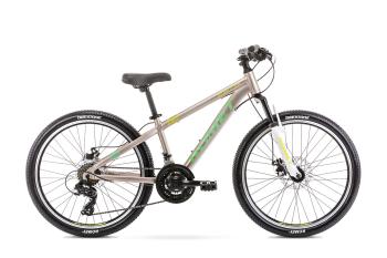 Bicicleta pentru copii Romet Rambler Dirt 24 S/12 Gri/Verde 2021