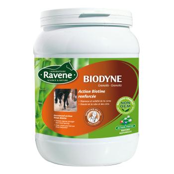 Supliment Biodyne 1kg