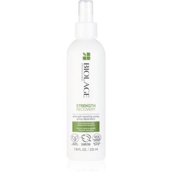 Biolage Strength Recovery Tratament pentru intarirea firului de par ce nu necesita clatire pentru par deteriorat 232 ml