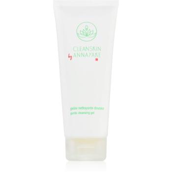 Annayake CleanSkin Gentle Cleansing Gel Gel facial de curatare perfecta pentru curatare 100 ml