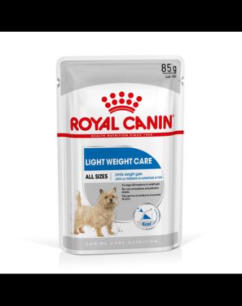 ROYAL CANIN Light Weight Care pateu pentru câini adulți cu tendință de supraponderabilitate 24 x 85 g