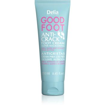 Delia Cosmetics Good Foot Anti Crack crema nutritiva pentru picioare 250 ml