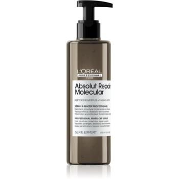 L’Oréal Professionnel Serie Expert Absolut Repair Molecular ser pentru par deteriorat 250 ml