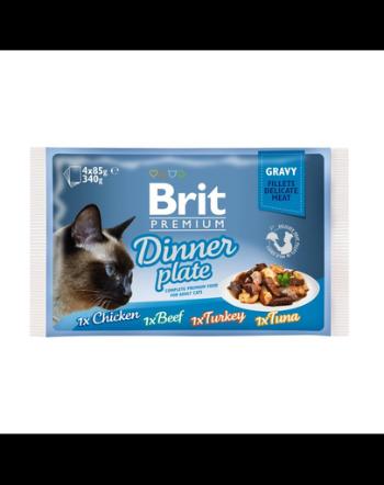 BRIT Premium Cat Dinner Plate file în sos - diverse arome 340 g (4x85 g)