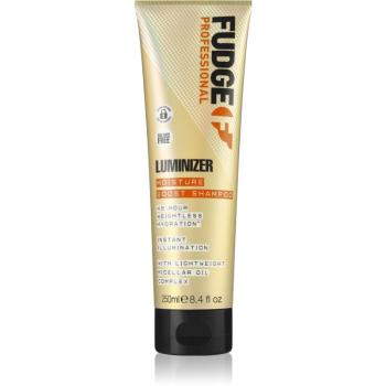 Fudge Care Luminizer Sampon hidratant pentru par vopsit. pentru par vopsit si deteriorat 250 ml