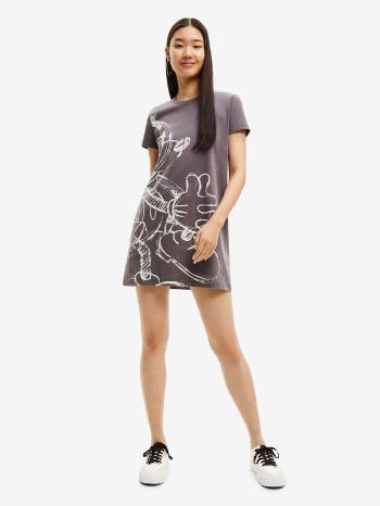 Desigual Mickey Hug Rochie Gri