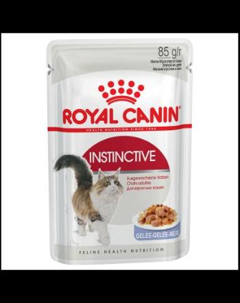 Royal Canin Instinctive In Jelly Adult hrana umeda in aspic pentru pisica, 12 x 85 g