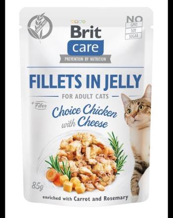 BRIT Care Fillets in Jelly Choice Set hrana umeda pentru pisici, cu curcan si branza in aspic 24 x 85 g