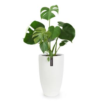 Fox & Fern Almere ghiveci Fibre Stone ideal pentru plante, lucrat manual, conic