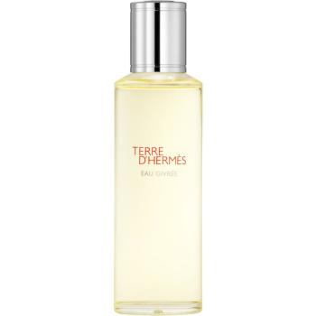HERMÈS Terre d’Hermès Eau Givrée Eau de Parfum rezervă pentru bărbați 125 ml