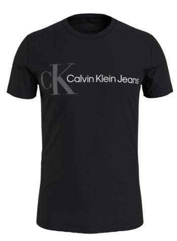 Calvin Klein Tricou pentru bărbați Slim Fit J30J319717BEH L