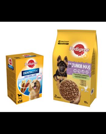 PEDIGREE Junior hrana uscata caini juniori de talie mare, cu pui si orez 15kg + DentaStix recompense caini 8 x 270g