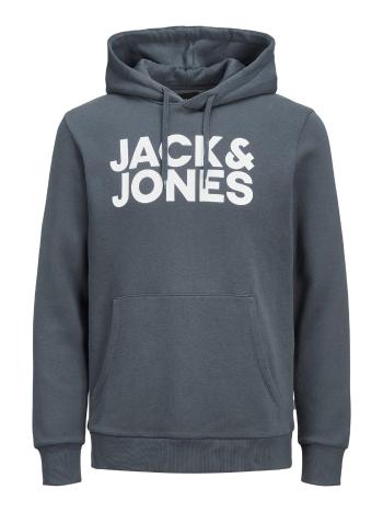 Jack&Jones Hanorac pentru bărbați JJECORP Regular Fit 12152840 Ombre Blue Reg/L Print/White L