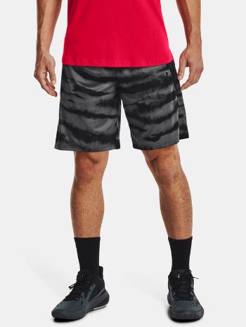 Under Armour UA Baseline 10'' Print Pantaloni scurți Negru