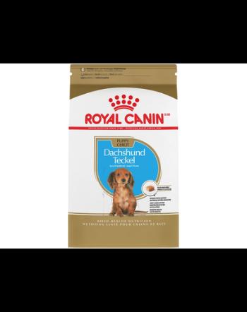 Royal Canin Dachshund Puppy hrana uscata caine junior Teckel, 1.5 kg