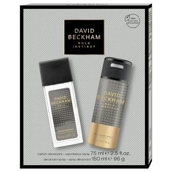 David Beckham Bold Instinct - deodorant cu pulverizator 75 ml + deodorant spray 150 ml