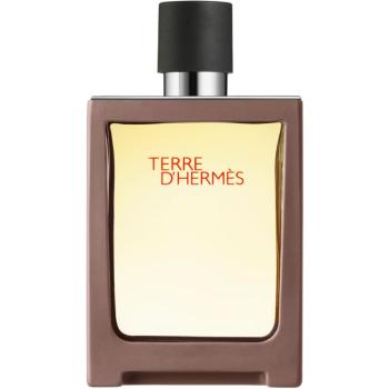 HERMÈS Terre d’Hermès Eau de Toilette pentru bărbați 30 ml