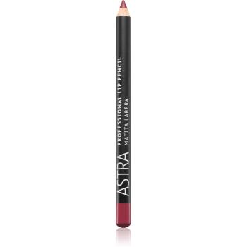 Astra Make-up Professional Lip Pencil creion contur buze culoare 46 Mauve Dimension 1,1 g