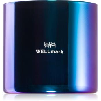 Wellmark Better Silk lumânare parfumată 1 buc