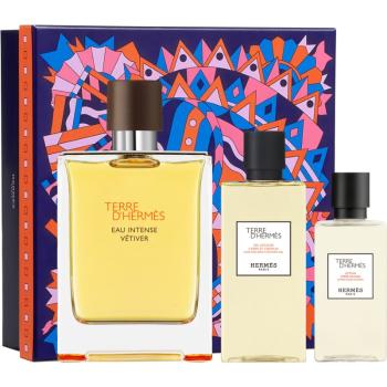 HERMÈS Terre d’Hermès Eau Intense Vétiver set cadou pentru bărbați