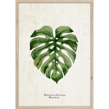 Poster cu ramă 50x70 cm Monstera – Styler