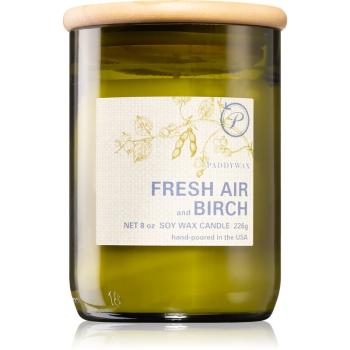 Paddywax Eco Green Fresh Air & Birch lumânare parfumată 226 g
