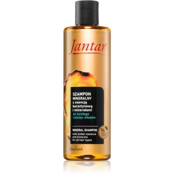 Farmona Jantar Amber Essence sampon mineral pentru toate tipurile de păr 300 ml