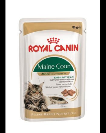 ROYAL CANIN Maine Coon Adult hrana umeda pisica 24x85 g