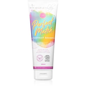 Les Secrets De Loly Perfect Match șampon pentru par fin 250 ml