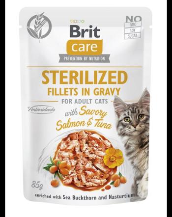 BRIT CARE Fillets in Gravy Pouch Sterilized Savory Salmon&amp;Tuna 24x85g hrana pentru pisici sterilizate cu somon si ton