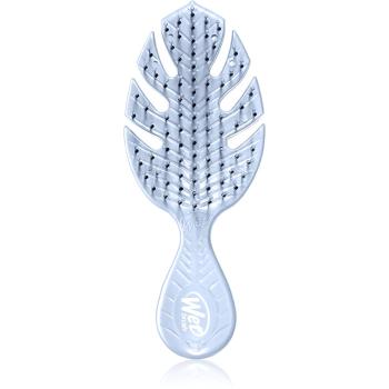 Wet Brush Go Green Mini perie de par Lavender