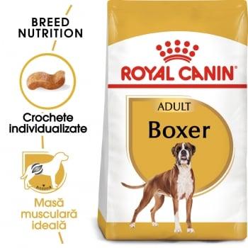 Royal Canin Boxer Adult, hrană uscată câini, 12kg x 2
