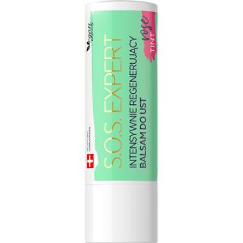 Eveline Cosmetics Lip Therapy balsam de buze nutritiv pentru un look perfect 1 buc