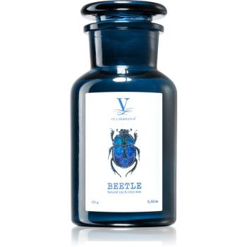Vila Hermanos Talisman Beetle lumânare parfumată 250 g
