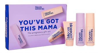 Bloom & Blossom Set cadou pentru gravide You`ve Got This Mama