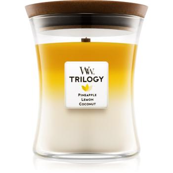 Woodwick Trilogy Fruits of Summer lumânare parfumată mediu 275 g