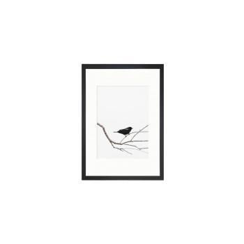 Tablou Tablo Center Birdy, 24 x 29 cm