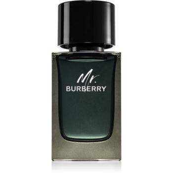 Burberry Mr. Burberry Eau de Parfum pentru bărbați 100 ml