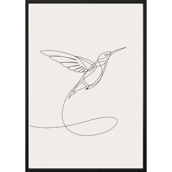 Poster cu ramă pentru perete SKETCHLINE/HUMMINGBIRD, 40 x 50 cm